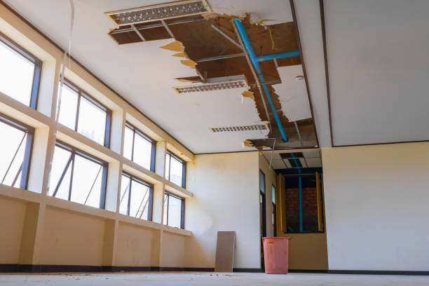 Best Commercial water damage restoration  in Rose, LA