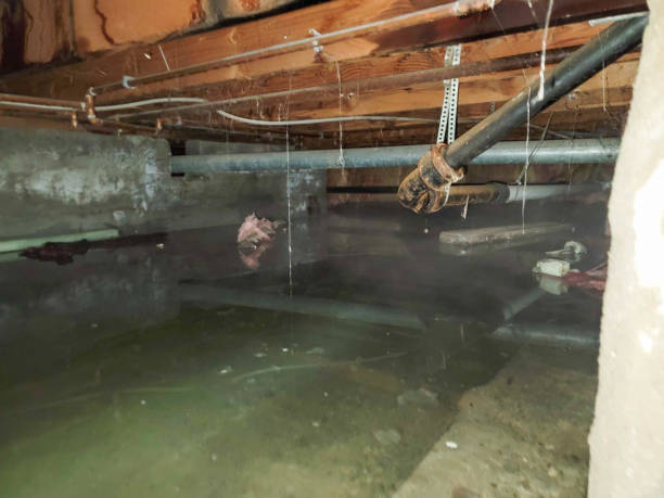 Best Fire Damage Restoration  in Rose, LA