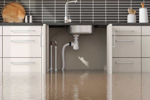 Best Residential water damage restoration  in Rose, LA