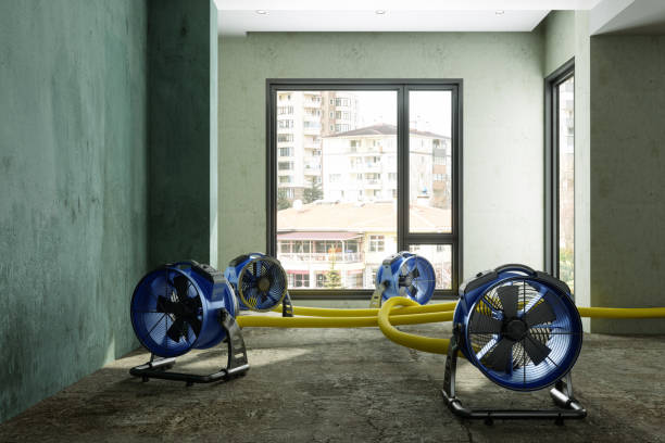 Best Emergency water damage restoration  in Rose, LA