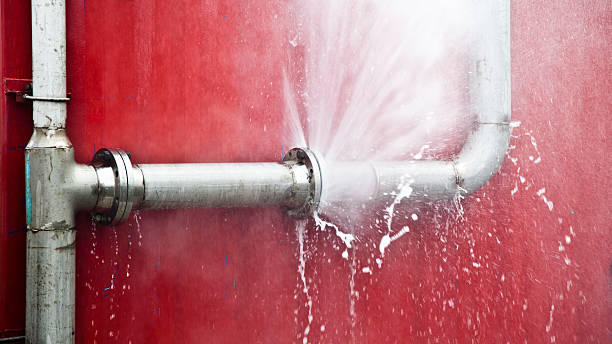  Rose, LA Water damage restoration Pros